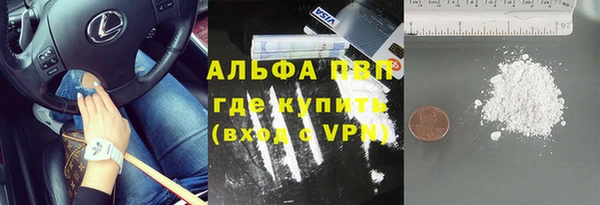 сатива Ельня