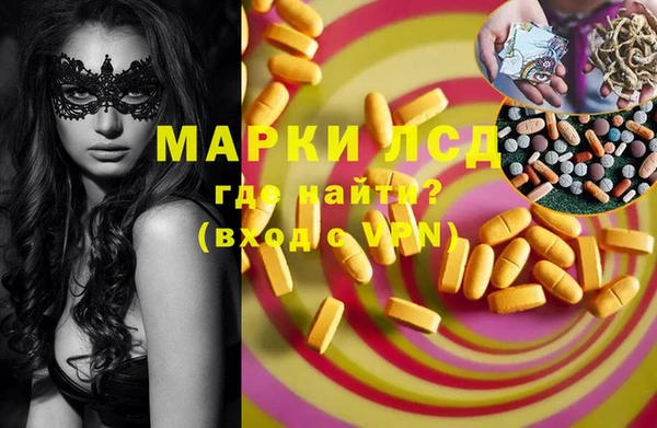 индика Пересвет