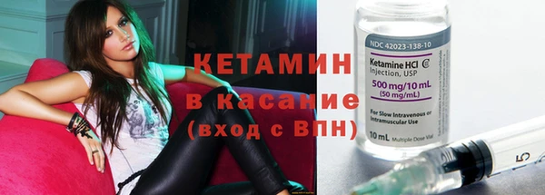 сатива Ельня