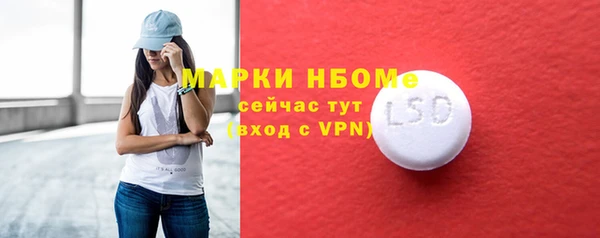 сатива Ельня