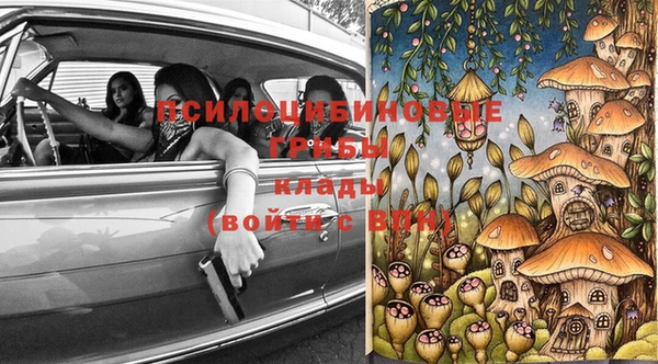 эйфоретик Елизово