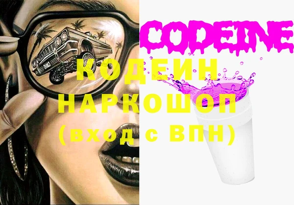 сатива Ельня