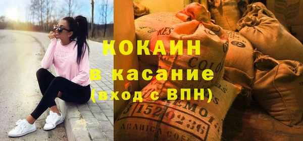 сатива Ельня
