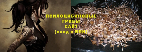 a pvp Елабуга