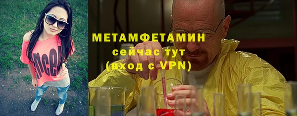 сатива Ельня