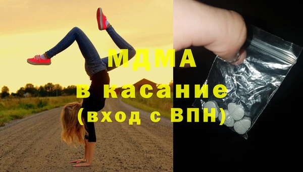 сатива Ельня