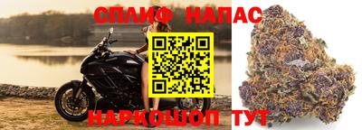 не бодяженный Краснознаменск