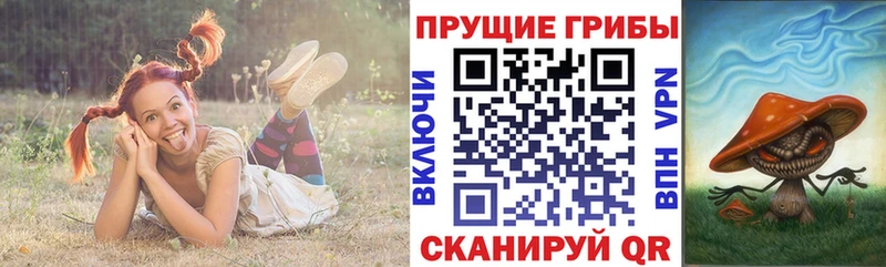 MEGA ONION  Сальск  Псилоцибиновые грибы прущие грибы  где найти наркотики 
