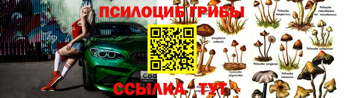 Псилоцибиновые грибы Psilocybine cubensis  Вход с VPN  продажа наркотиков  Сальск 