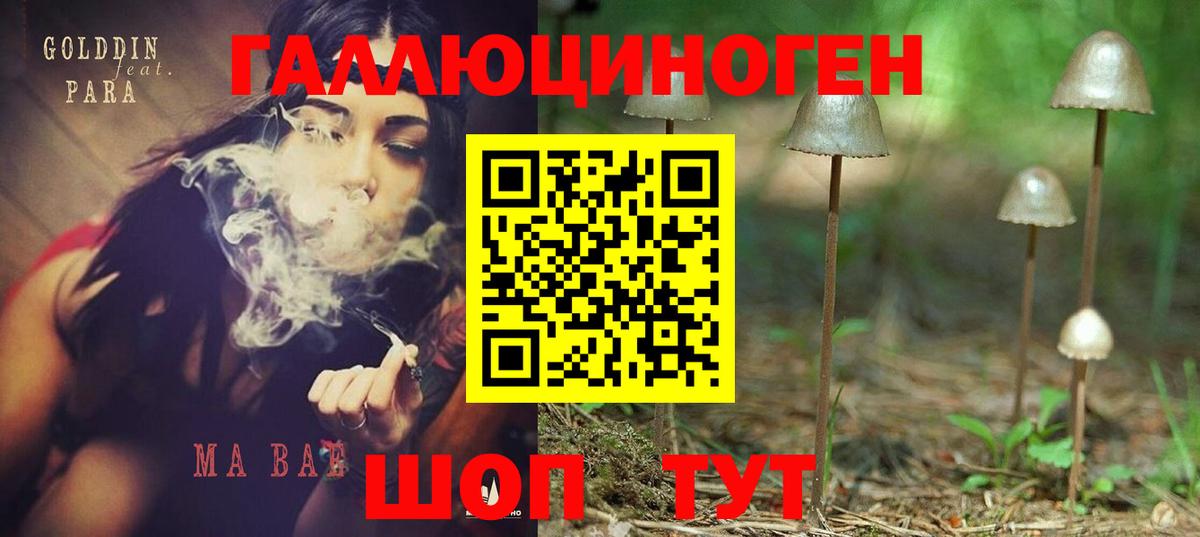 Псилоцибиновые грибы Cubensis Сальск