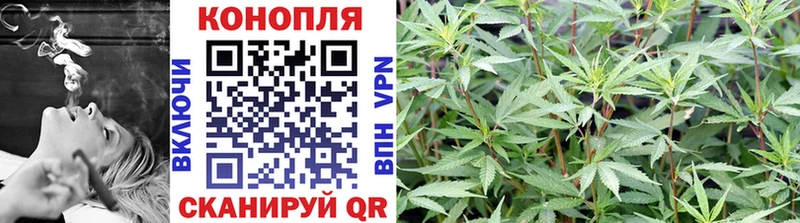 кракен ТОР  Сальск  Шишки марихуана Amnesia 